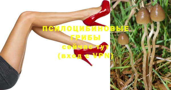 мяу мяу мука Алексин
